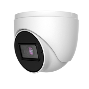 TD-7524TE3S(D/AR1) / TD-7524TE3S(D/AU/AR1) 2MP HD Analog IR Turret Camera